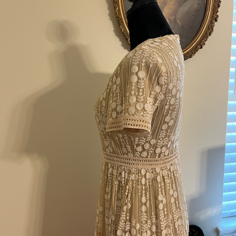 Tea n Rose Lace Midi Dress in Cream - Picture 3 of 5